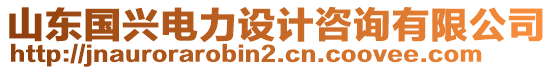 山東國興電力設計咨詢有限公司