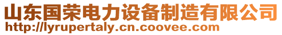 山東國(guó)榮電力設(shè)備制造有限公司