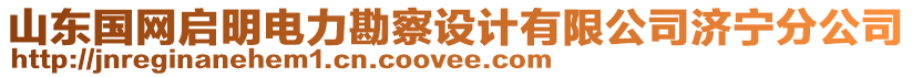 山東國(guó)網(wǎng)啟明電力勘察設(shè)計(jì)有限公司濟(jì)寧分公司