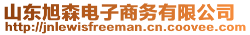 山東旭森電子商務(wù)有限公司