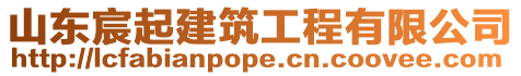 山東宸起建筑工程有限公司