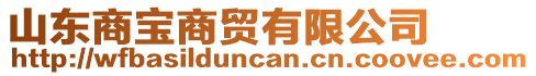 山東商寶商貿(mào)有限公司