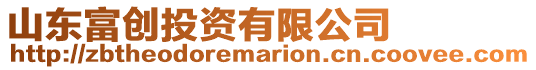 山東富創投資有限公司