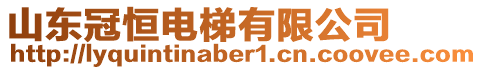 山東冠恒電梯有限公司