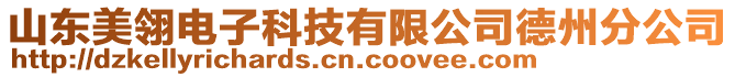 山東美翎電子科技有限公司德州分公司