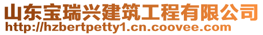 山東寶瑞興建筑工程有限公司