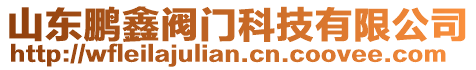 山東鵬鑫閥門(mén)科技有限公司