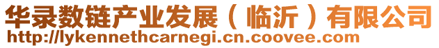 華錄數(shù)鏈產(chǎn)業(yè)發(fā)展（臨沂）有限公司