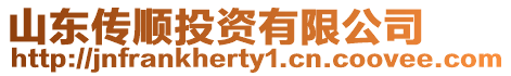 山東傳順投資有限公司