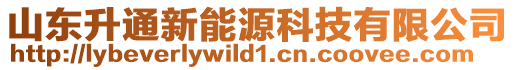 山東升通新能源科技有限公司