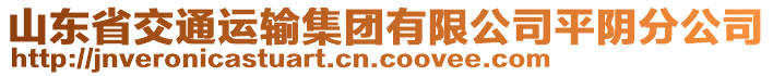 山東省交通運(yùn)輸集團(tuán)有限公司平陰分公司