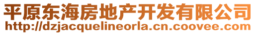 平原東海房地產(chǎn)開發(fā)有限公司