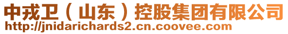 中戎衛(wèi)（山東）控股集團(tuán)有限公司