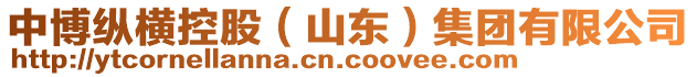 中博縱橫控股(山東)集團有限公司