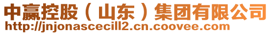 中贏控股(山東)集團有限公司
