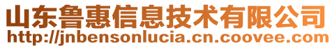 山東魯惠信息技術(shù)有限公司