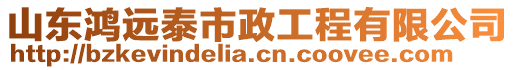 山東鴻遠泰市政工程有限公司