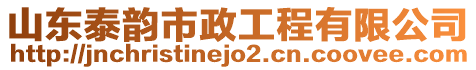 山東泰韻市政工程有限公司