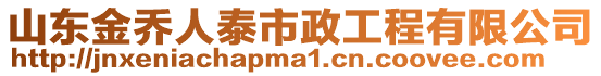 山東金喬人泰市政工程有限公司