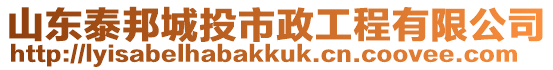 山東泰邦城投市政工程有限公司