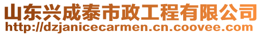 山東興成泰市政工程有限公司