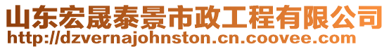 山東宏晟泰景市政工程有限公司