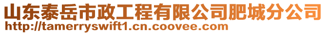 山東泰岳市政工程有限公司肥城分公司