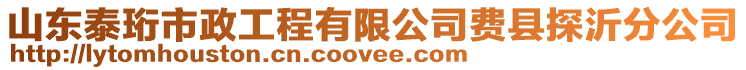 山東泰珩市政工程有限公司費(fèi)縣探沂分公司