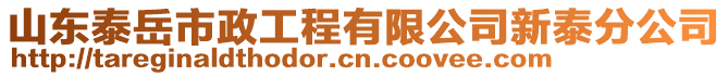 山東泰岳市政工程有限公司新泰分公司