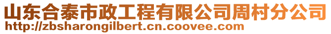 山東合泰市政工程有限公司周村分公司