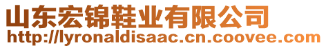 山東宏錦鞋業(yè)有限公司