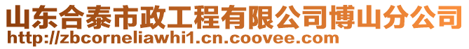 山東合泰市政工程有限公司博山分公司