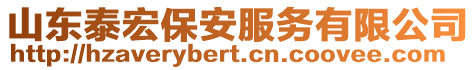 山東泰宏保安服務(wù)有限公司