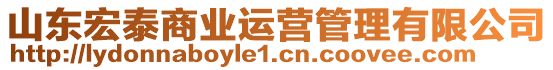 山東宏泰商業(yè)運營管理有限公司