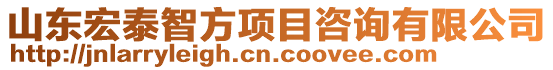 山東宏泰智方項目咨詢有限公司