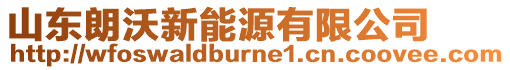 山東朗沃新能源有限公司