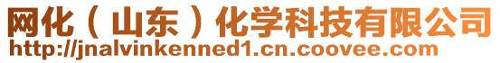 網化(山東)化學科技有限公司