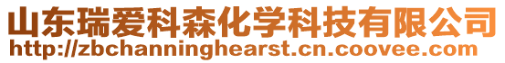 山東瑞愛科森化學(xué)科技有限公司