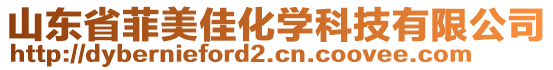 山東省菲美佳化學科技有限公司