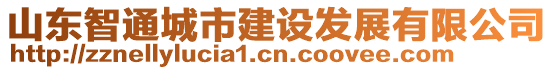 山東智通城市建設發(fā)展有限公司