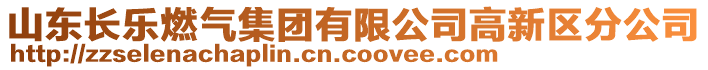 山東長樂燃?xì)饧瘓F(tuán)有限公司高新區(qū)分公司