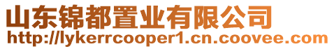 山東錦都置業(yè)有限公司