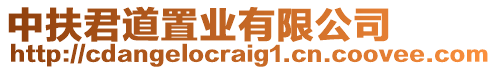 中扶君道置業(yè)有限公司