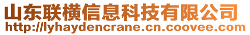 山東聯(lián)橫信息科技有限公司