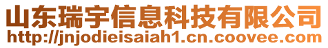 山東瑞宇信息科技有限公司