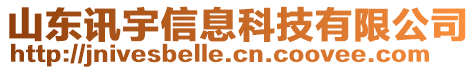 山東訊宇信息科技有限公司