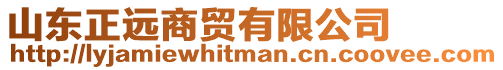 山東正遠商貿(mào)有限公司