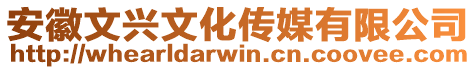 安徽文興文化傳媒有限公司