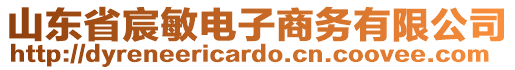 山東省宸敏電子商務(wù)有限公司