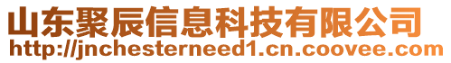 山東聚辰信息科技有限公司